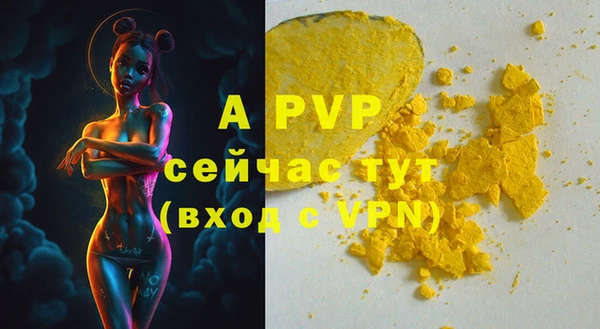 тгк Вяземский