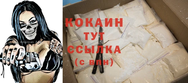 тгк Вяземский