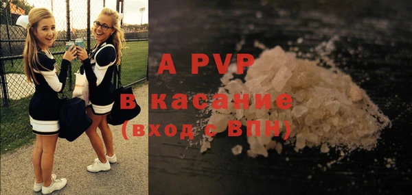 тгк Вяземский