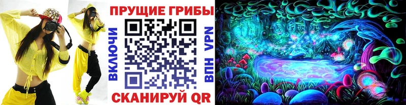 Псилоцибиновые грибы Cubensis  Купить закладки  Новая Ляля 